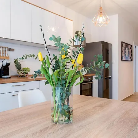 Apartment Gorgeous In With Wifi